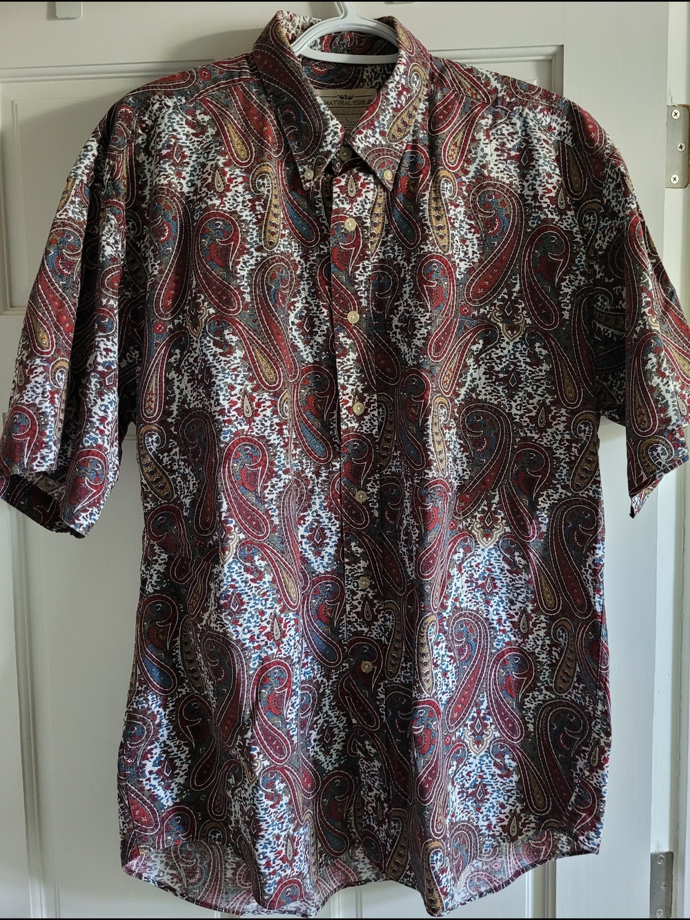NATURAL ISSUE Vintage Men's Short-Sleeve Paisley Button-Down Shirt -  Multicolor